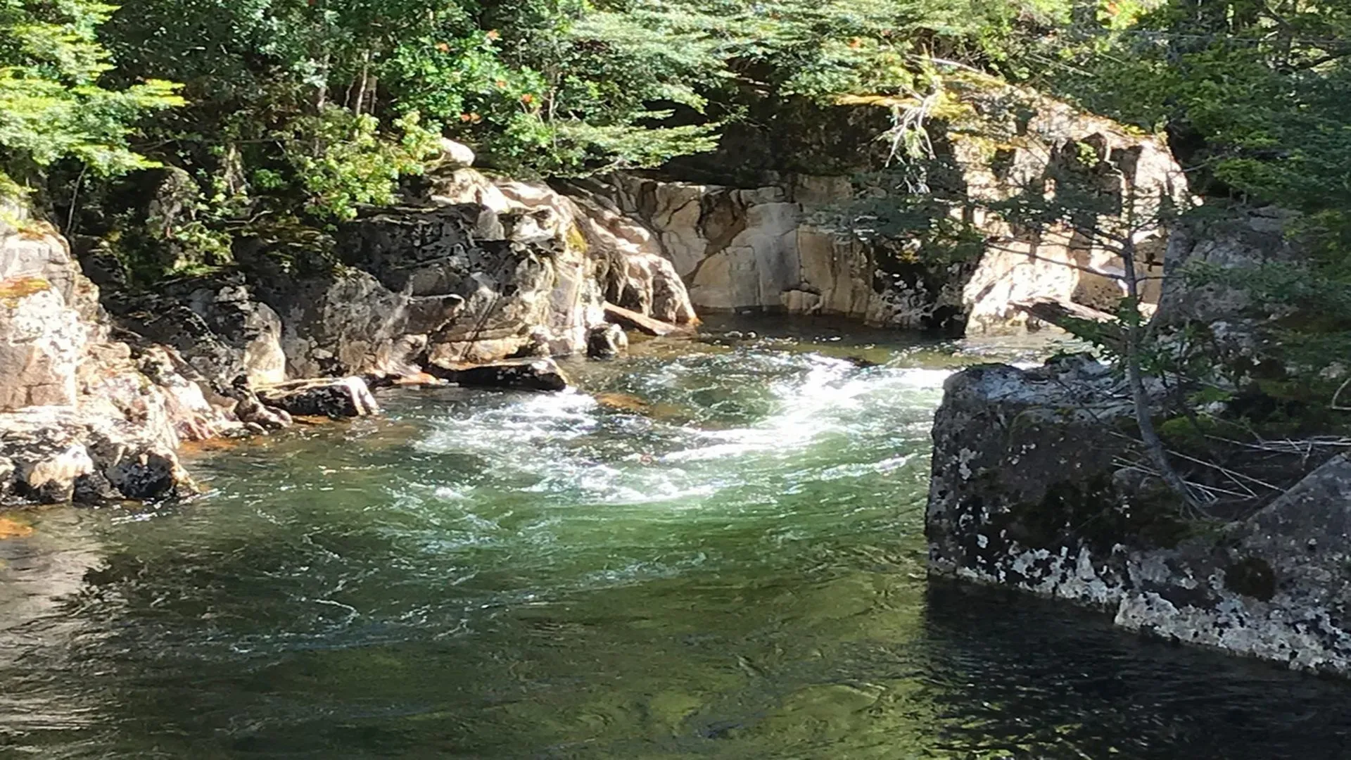Paisaje natural del proyecto Loteo Río Quetro