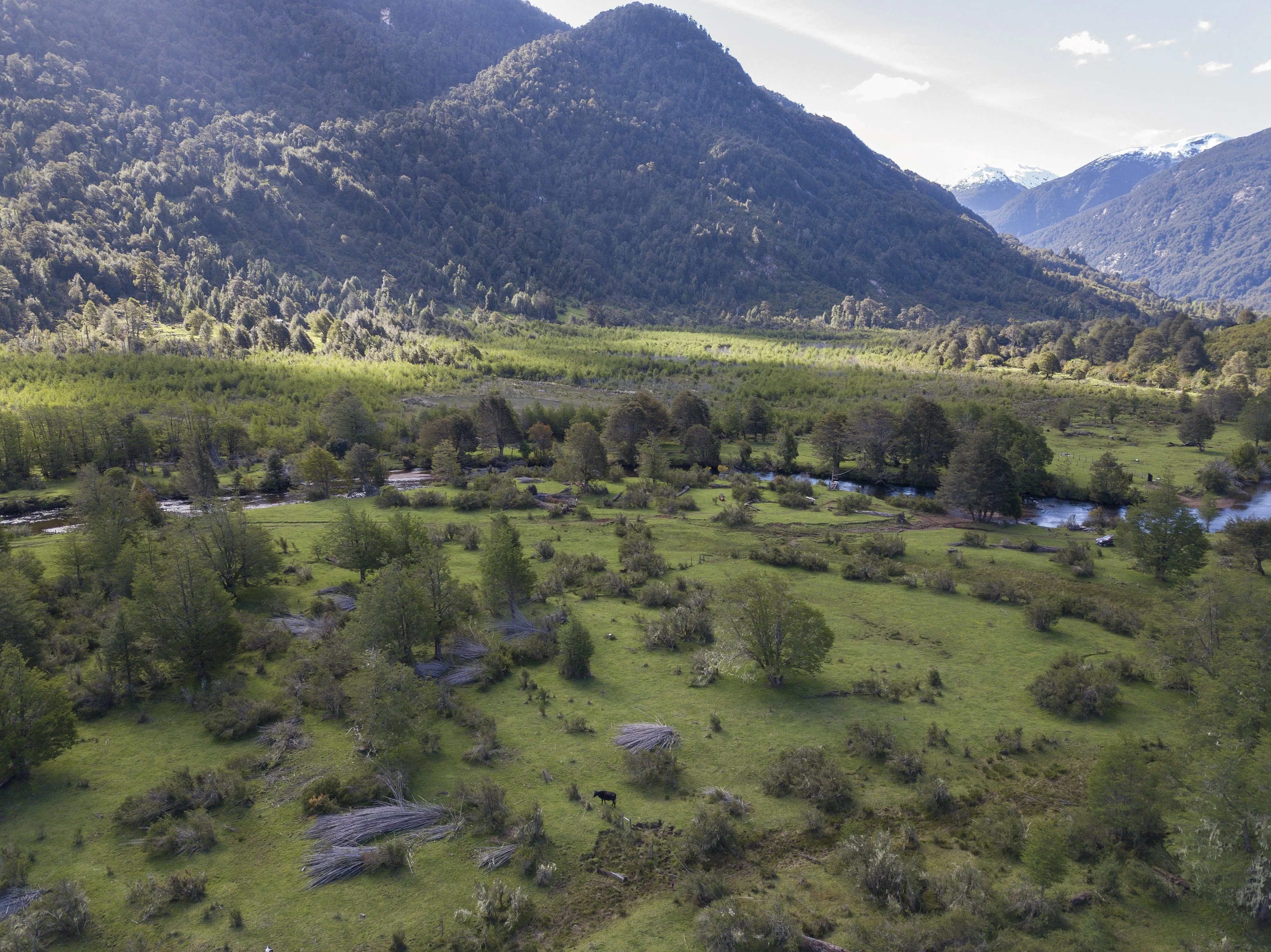 Paisaje del proyecto Loteo Río Quetro, imagen 1