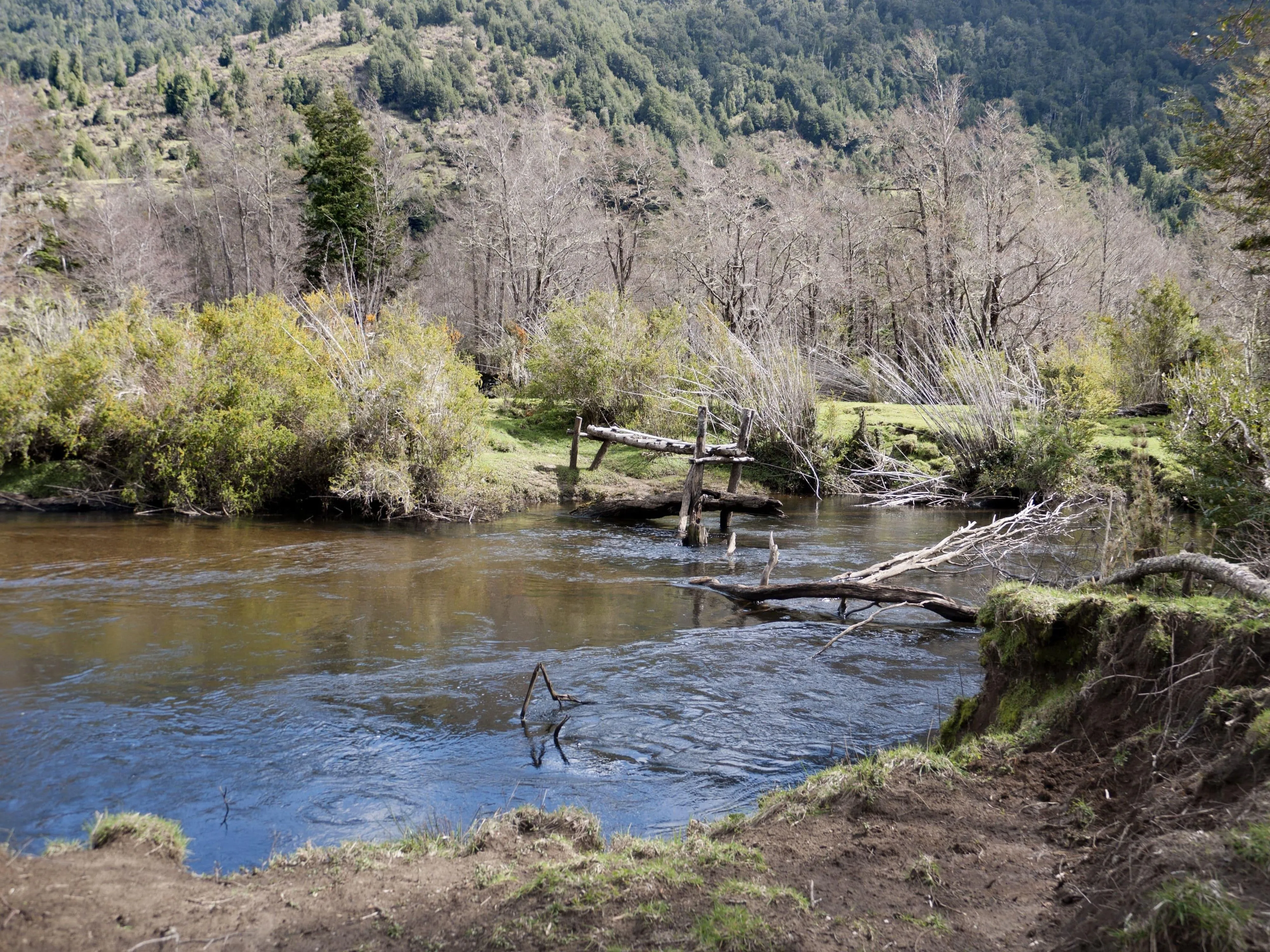 Paisaje del proyecto Loteo Río Quetro, imagen 9